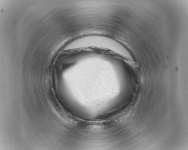 X0000069840352200606162011
