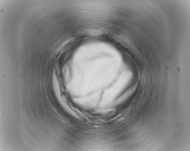 X0000069840360200606162011