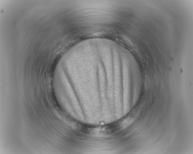 X0000069840366200606162011