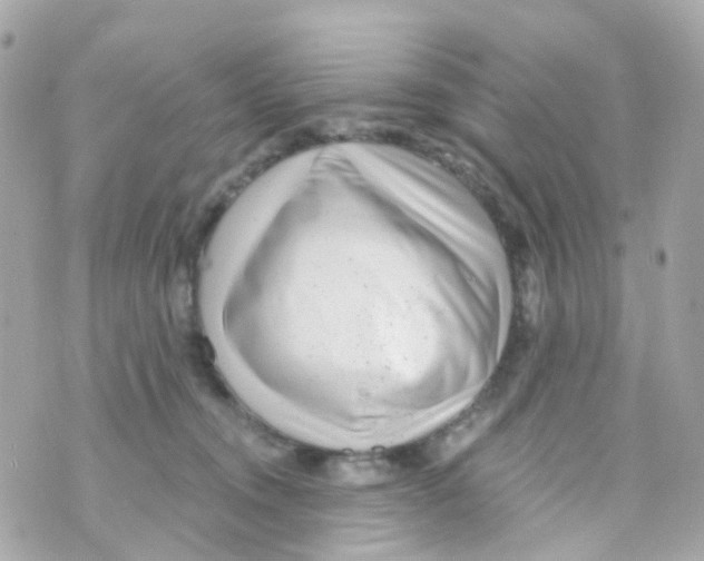 X0000069840372200606162011