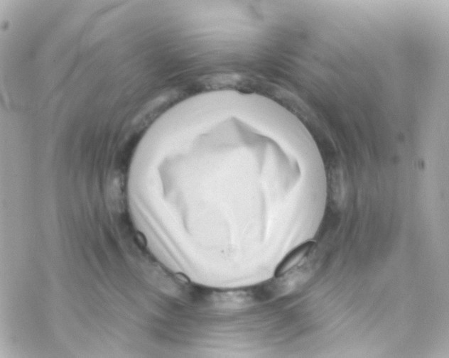 X0000069840378200606162012