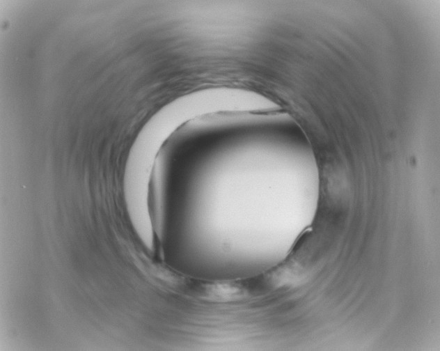 X0000069840380200606162012