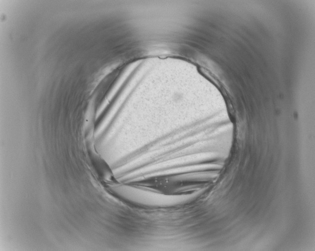 X0000069840385200606162011