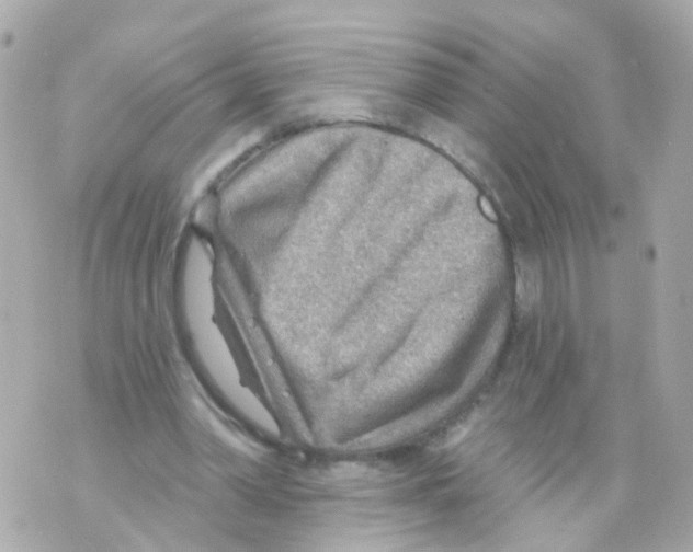 X0000069840390200606162011