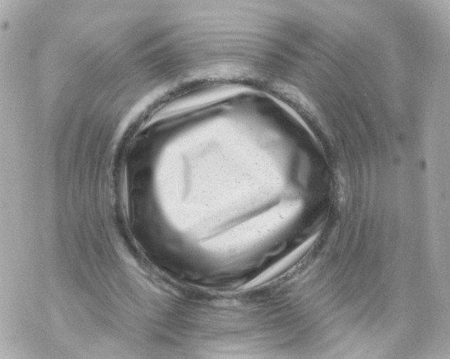 X0000069840392200606162011