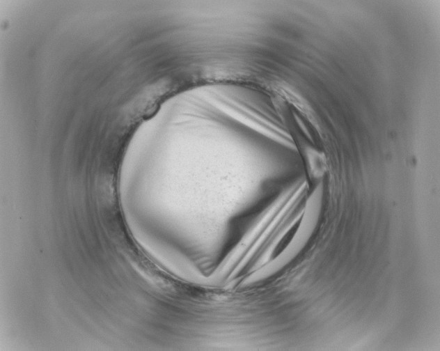 X0000069840401200606162011