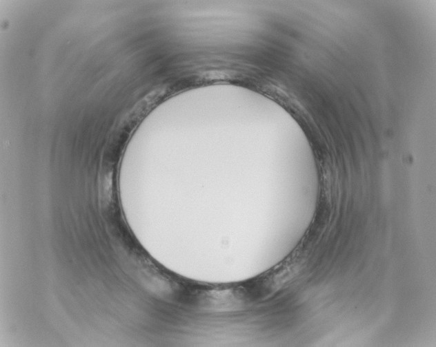 X0000069840406200606162011