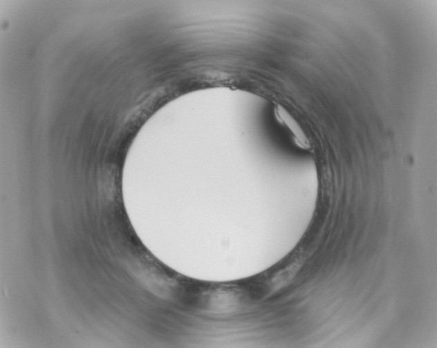 X0000069840412200606162010