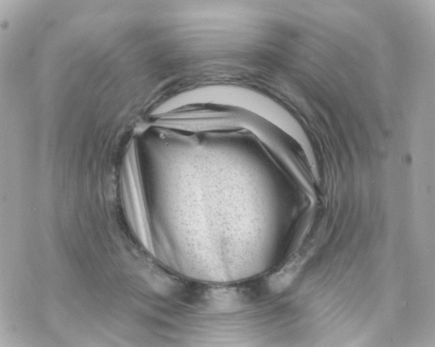 X0000069840413200606162010