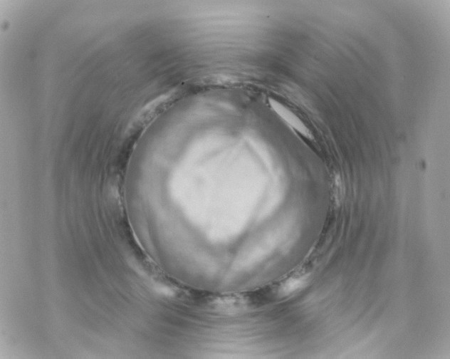 X0000069840415200606162010