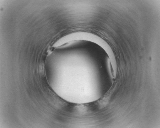 X0000069840425200606162010