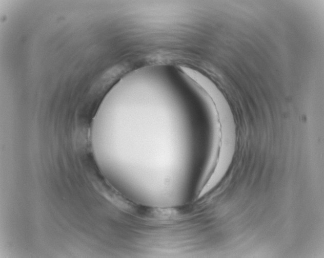 X0000069840429200606162010