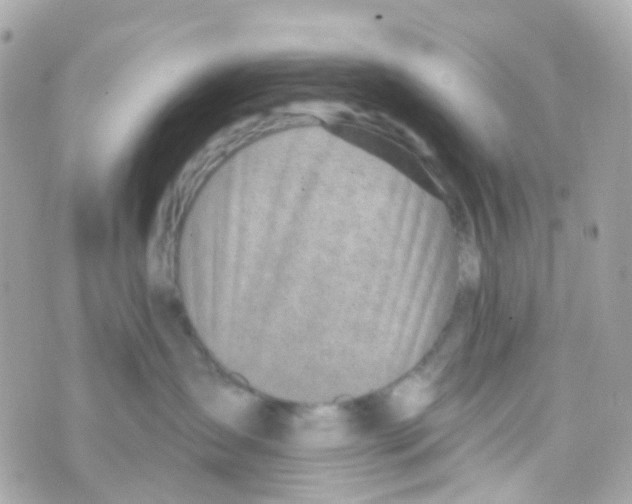 X0000069840431200606162010
