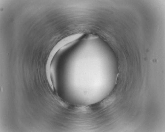 X0000069840432200606162010