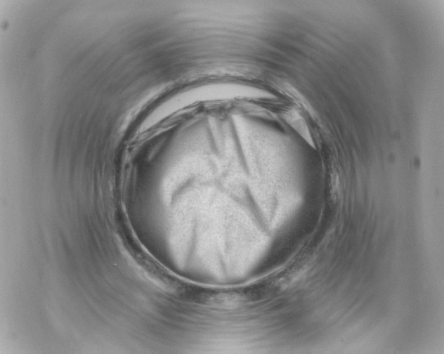 X0000069840444200606162010