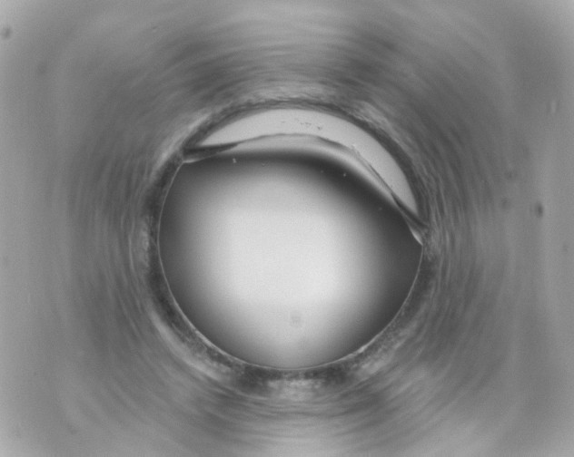 X0000069840448200606162010