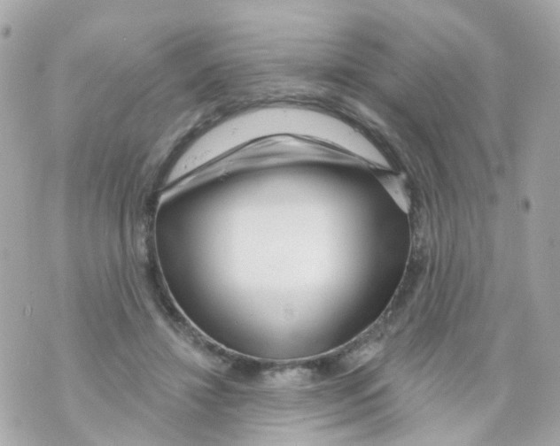 X0000069840452200606162010