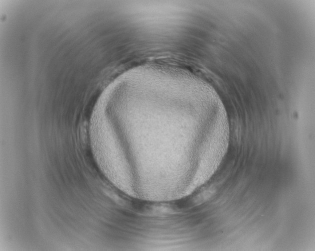 X0000069840475200606162010