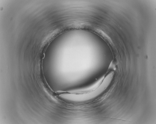 X0000069840493200606162009