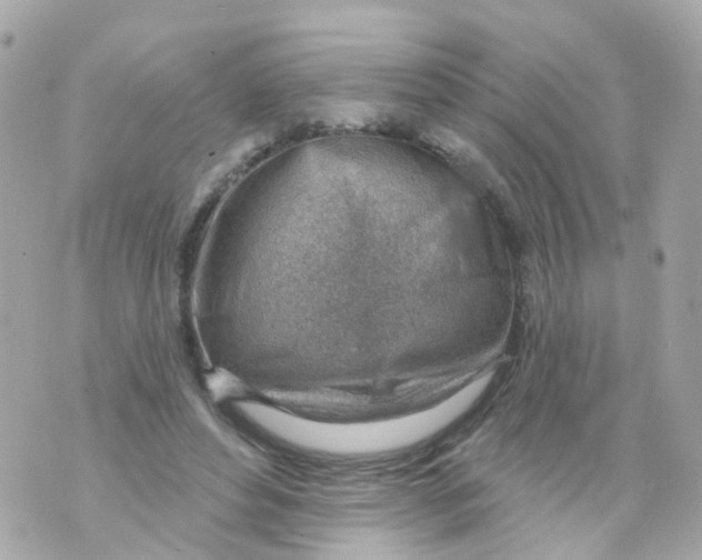 X0000069840496200606162009