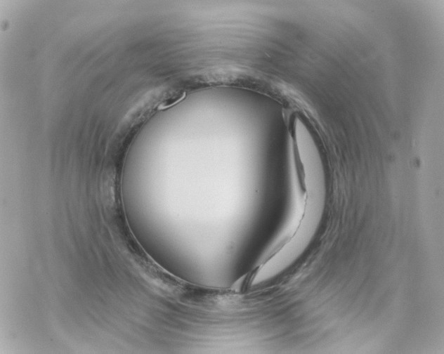 X0000069840501200606162009