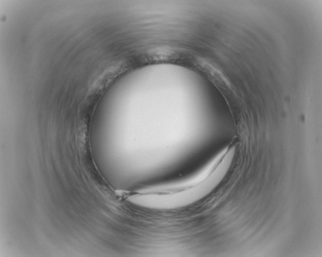 X0000069840509200606162009