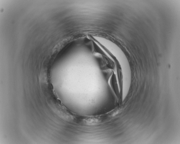 X0000069840512200606162009