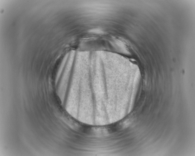 X0000069840520200606162009