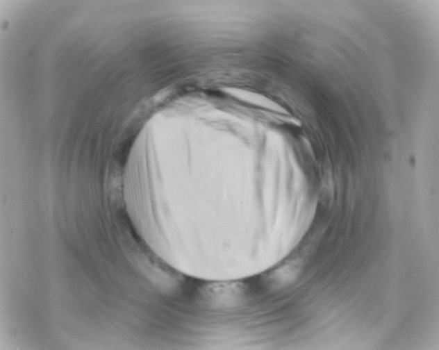 X0000069840526200606162009