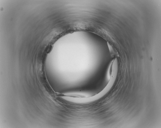 X0000069840548200606162008