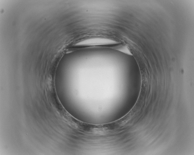 X0000069840556200606162008