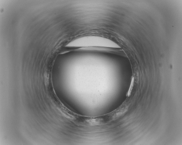 X0000069840558200606162008
