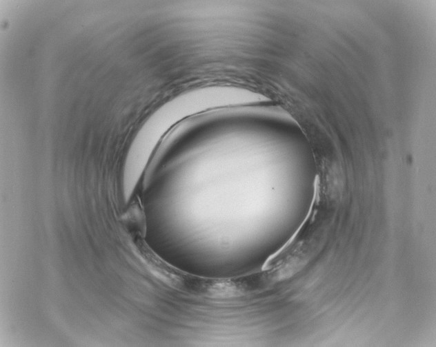 X0000069840562200606162008