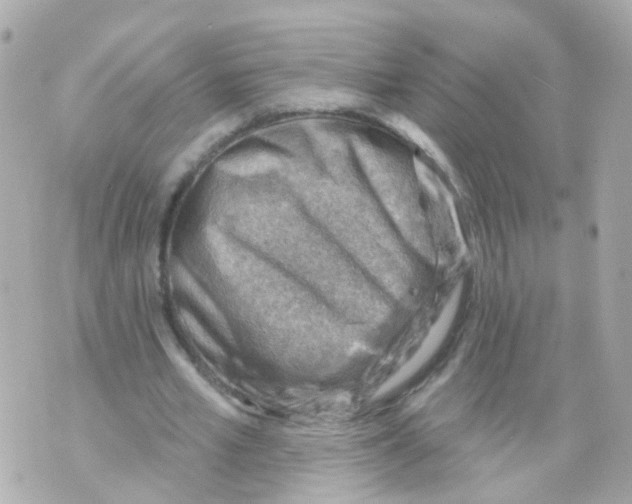 X0000069840581200606162008
