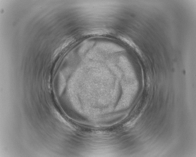 X0000069840585200606162008