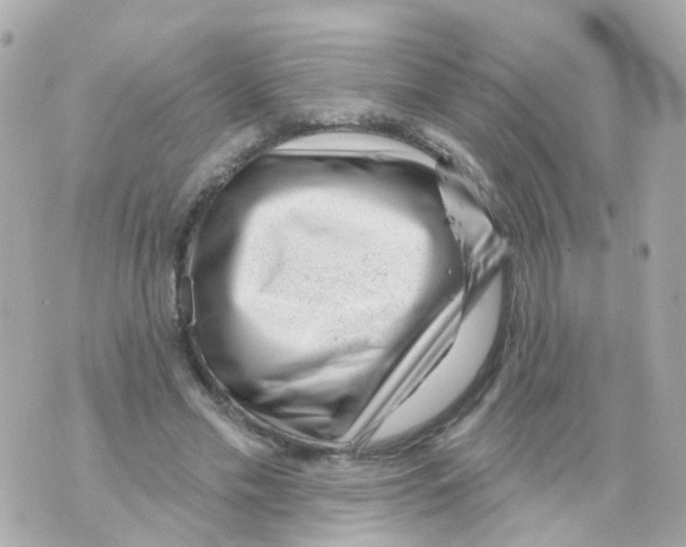 X0000069840589200606162008