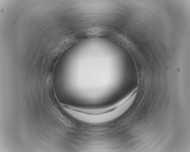 X0000069840601200606162007