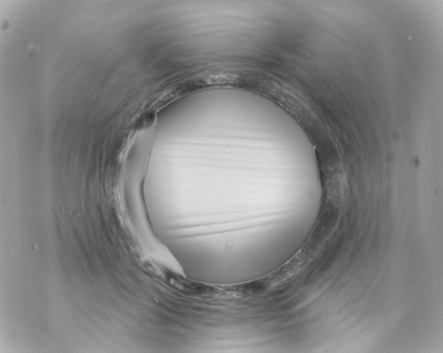 X0000069840604200606162007