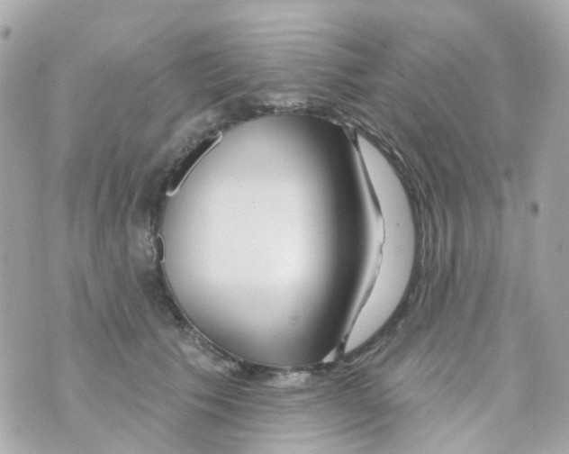 X0000069840609200606162007