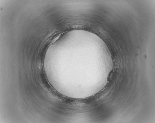 X0000069840648200606162006
