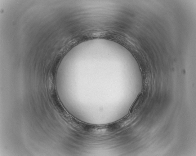 X0000069840651200606162006