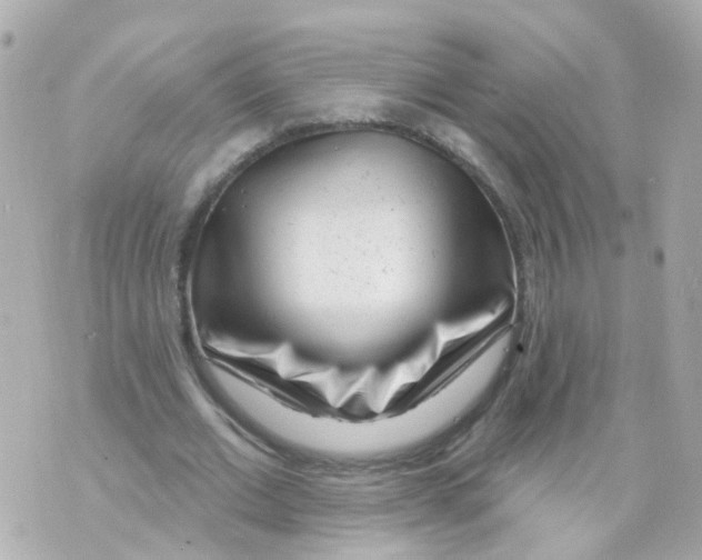 X0000069840677200606162006