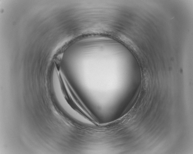X0000069840680200606162006
