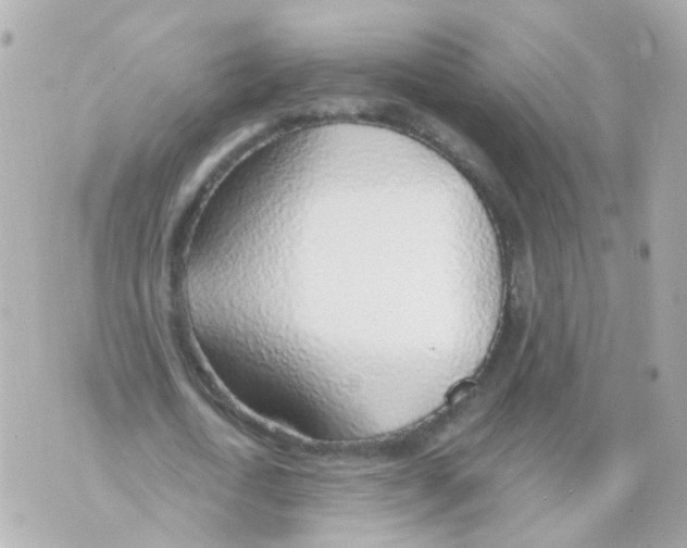 X0000069840722200606162005