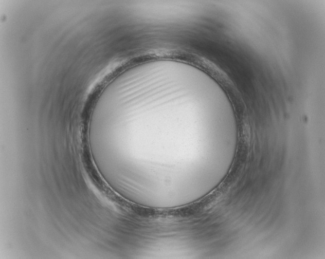 X0000069840730200606162005