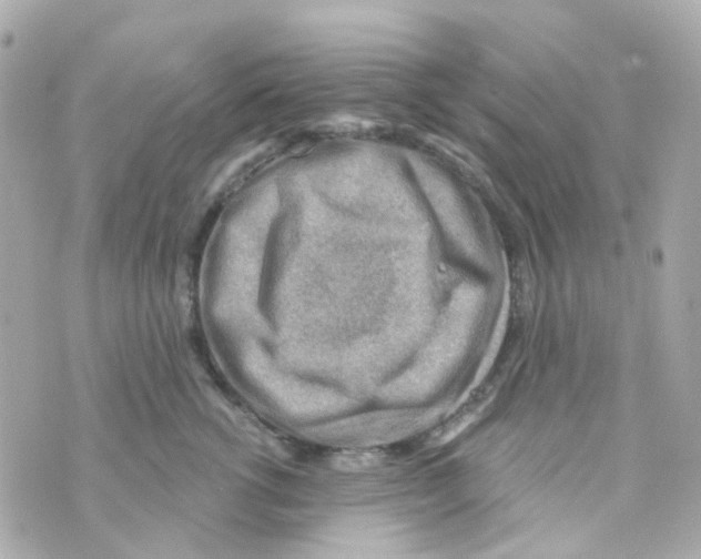 X0000069840762200606162005
