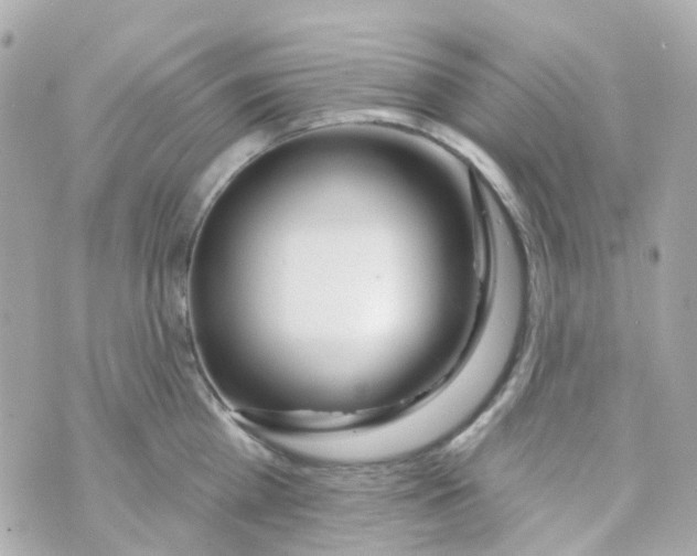 X0000069840809200606162004
