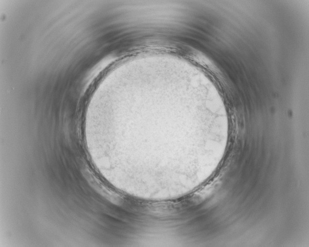 X0000069840828200606162003