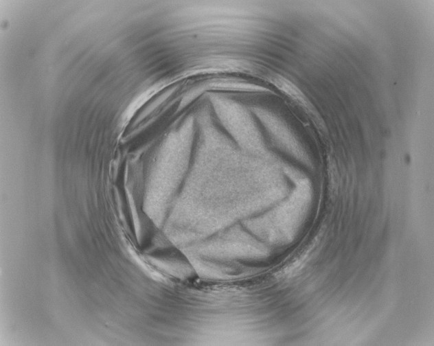 X0000069840842200606162003