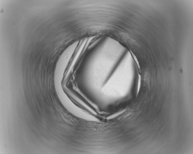 X0000069840868200606162003